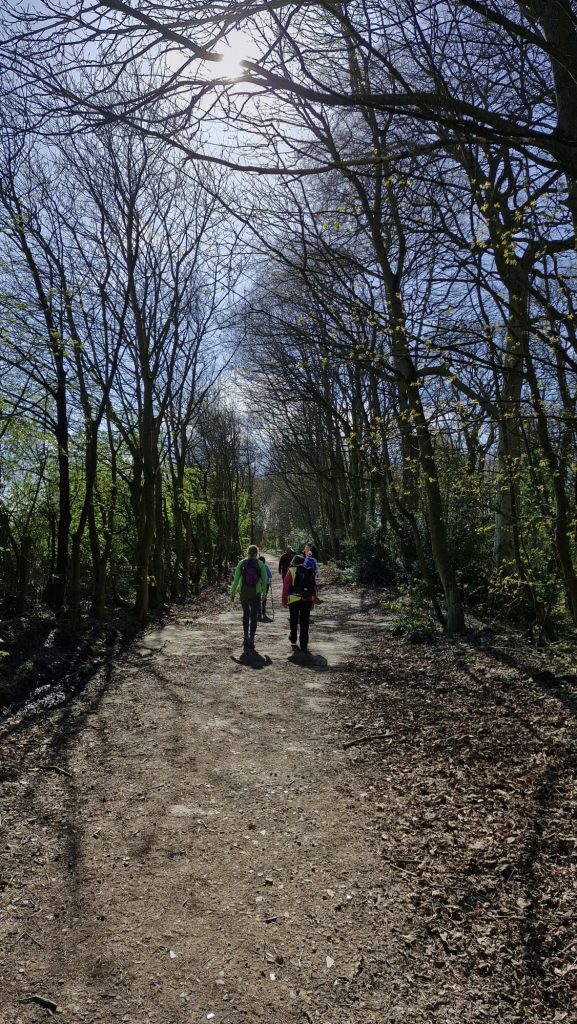 A group of walkers walk through a mud path of trees