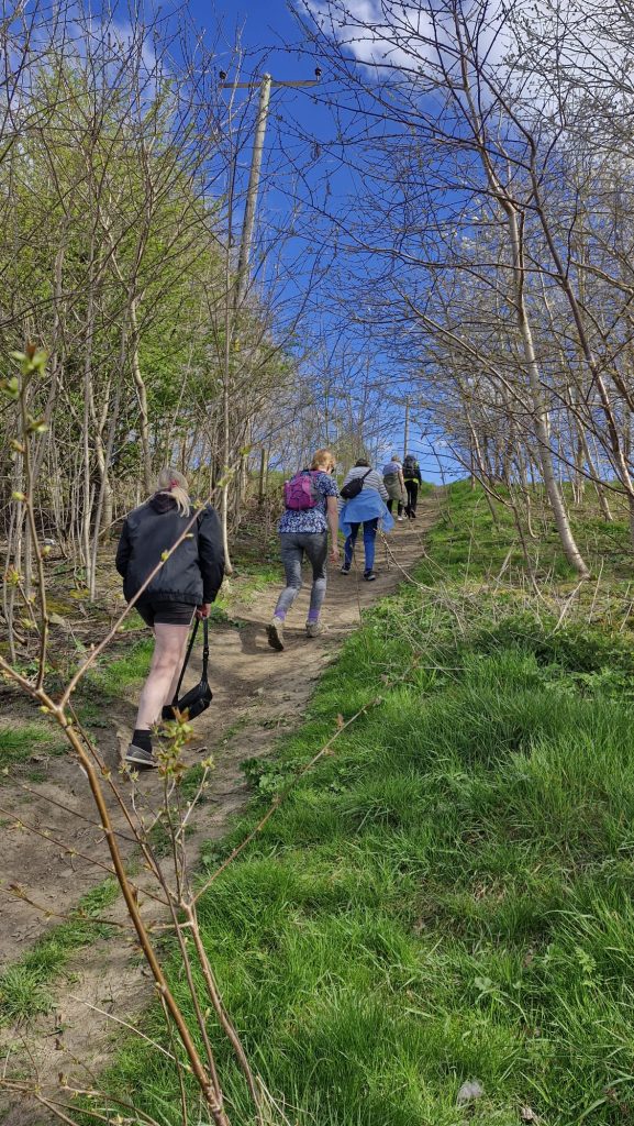 A group of walkers climb a hill on a dirt path surrounded by trees and grass.