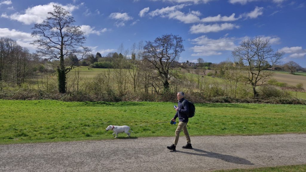 A man and his dog walk along a dirt path