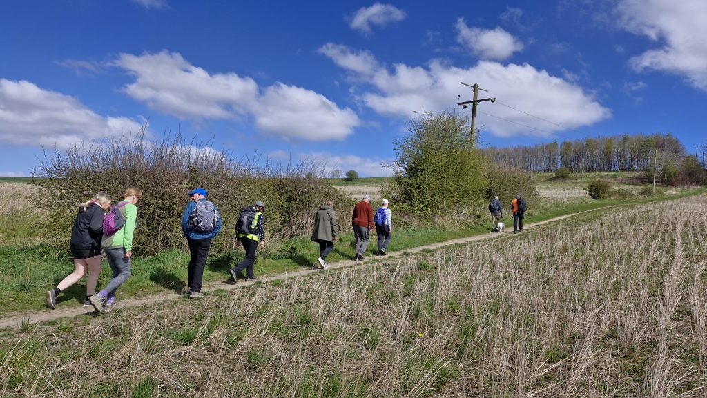 A group of walkers climb a hill on a dirt path surrounded by bushes and grass.