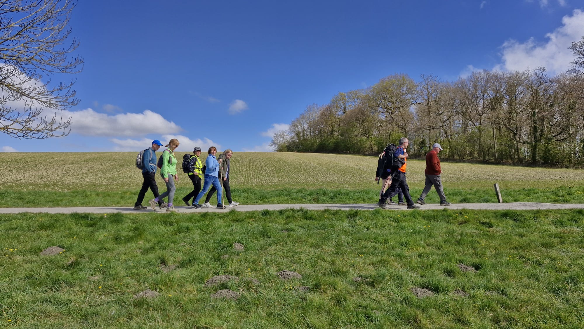 A group of walkers walk left to right on a dirt path surrounded by trees and grass.