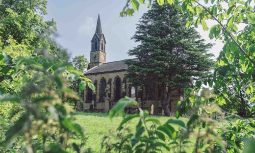 DSC_3028-Enhanced-NR